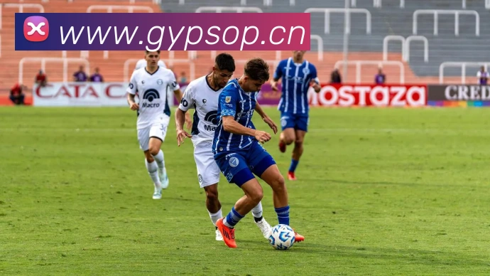 App Interface Preview