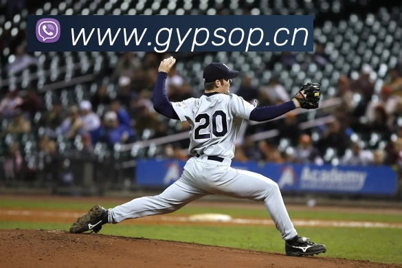 米兰app体育登录入口安全吗APP 封面图